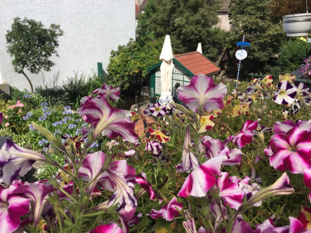 Gasthaus Kirchhoff بيفرونغن المظهر الخارجي الصورة